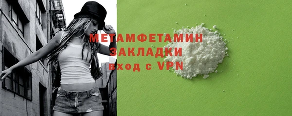 индика Богородицк