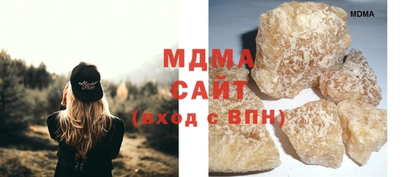 индика Богородицк
