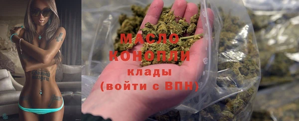 индика Богородицк