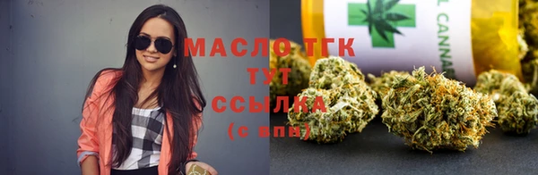 индика Богородицк