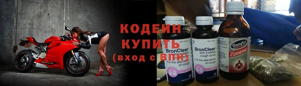 индика Богородицк