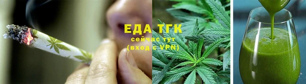 индика Богородицк