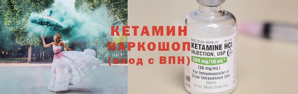 индика Богородицк