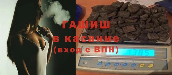 индика Богородицк