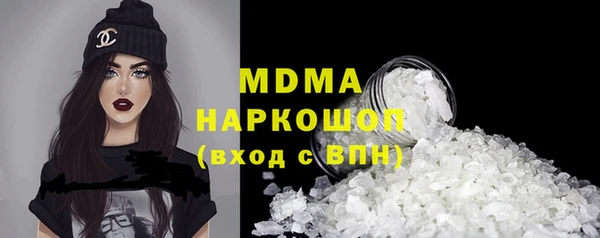 индика Богородицк