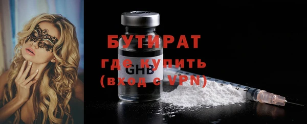 индика Богородицк