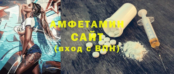индика Богородицк