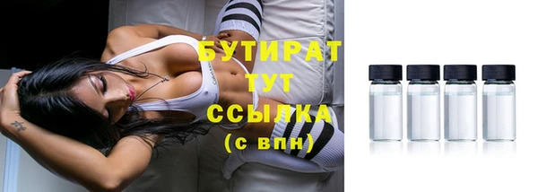 индика Богородицк