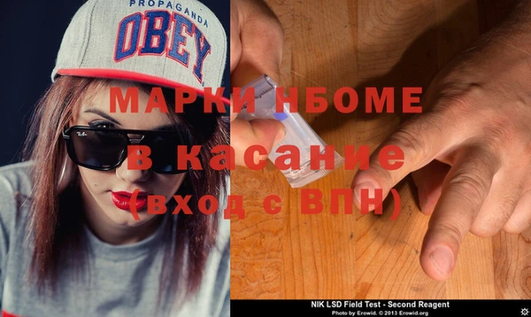 индика Богородицк