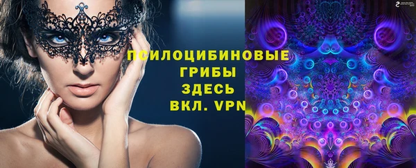соль курить ск Богородск