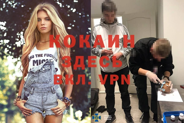 индика Богородицк