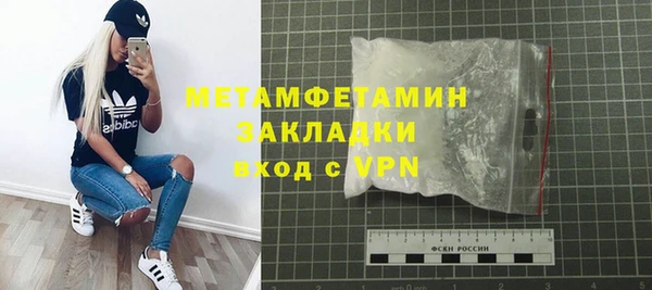 индика Богородицк