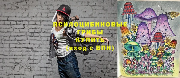 бутират Богданович