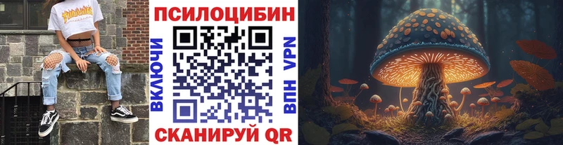 наркотики  гидра tor  Галлюциногенные грибы мухоморы  shop Telegram  Сланцы 