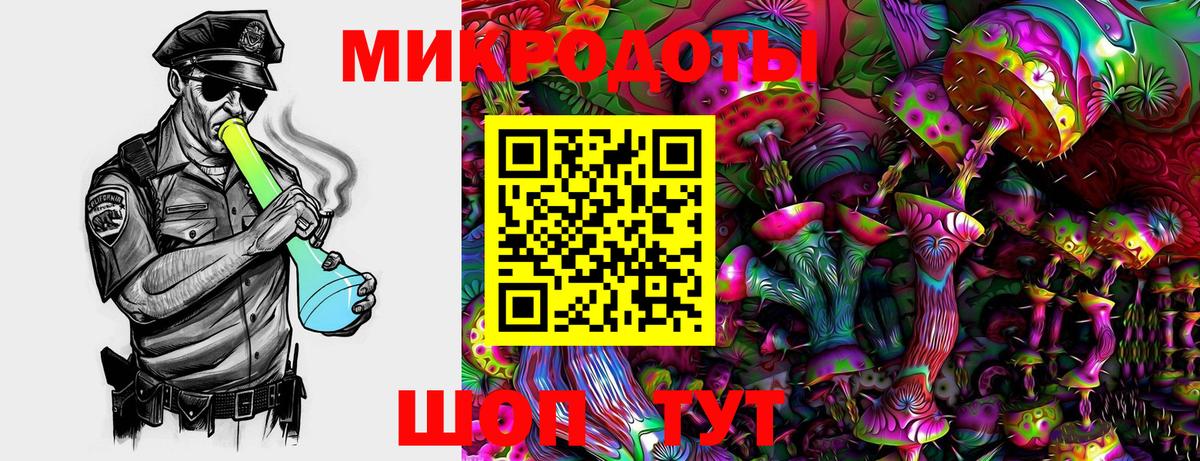 Галлюциногенные грибы Psilocybine cubensis Сланцы
