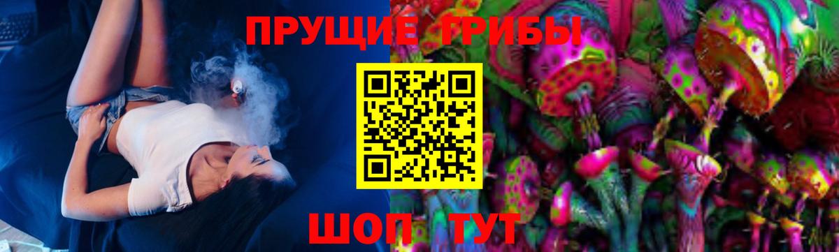 Псилоцибиновые грибы прущие грибы  Вход с VPN  где купить наркоту  Сланцы  Галлюциногенные грибы MAGIC MUSHROOMS 