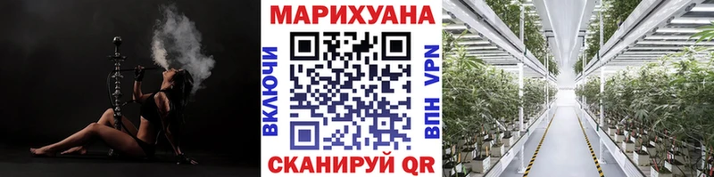 Бошки Шишки Amnesia  Сланцы 