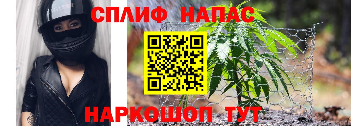 МАРИХУАНА план Сланцы